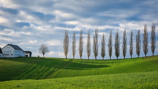 Farmhouse countryside