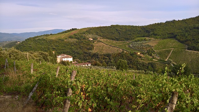 Wine country